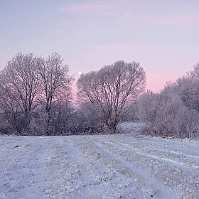 фотограф Сергей Краенков. Фотография "морозный рассвет"