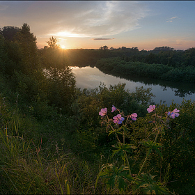 В лучах заходящего солнца | Фотограф Олег Фролов | foto.by фото.бай