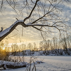 Зимнее утро | Фотограф Зміцер Пахоменка | foto.by фото.бай