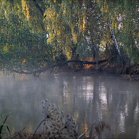 Утро на реке | Фотограф Сергей Шабуневич | foto.by фото.бай