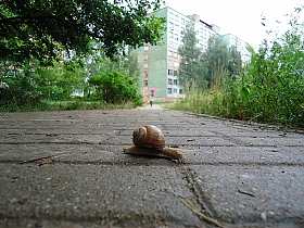 Городской житель | Фотограф Анастасия Нилова | foto.by фото.бай