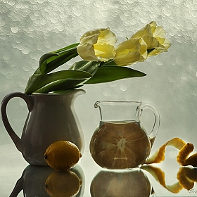 фотограф Ирина Приходько. Фотография "Про тюльпаны. лимоны и отражение"
