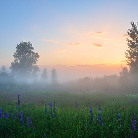 туман на закате | Фотограф Виталий Полуэктов | foto.by фото.бай