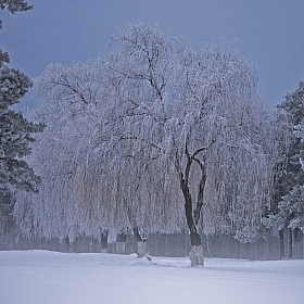 фотограф Владислав Рогалев. Фотография "зимний вечер на городской окраине"