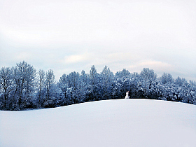Зимняя сказка | Фотограф Павел Помолейко | foto.by фото.бай