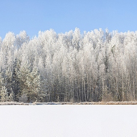 фотограф Евгений Гурков. Фотография "Зима в три слоя"
