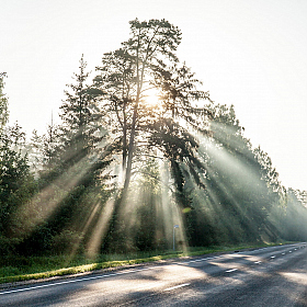 лучи солнца | Фотограф Михаил Пестрак | foto.by фото.бай