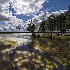 На золотистых озерах | Фотограф Vladimir Vavulo | foto.by фото.бай
