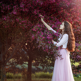 Розовый закат | Фотограф Татьяна Малюта | foto.by фото.бай