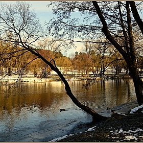 фотограф Игорь Сафонов. Фотография "зимняя река 3"