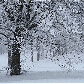 фотограф Александр Задёрко. Фотография "Зима. Второе пришествие"