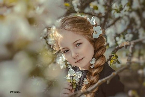 Фотограф Сергей Говор, фотография добавлена 21.06.2019
