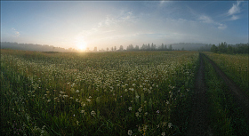 Рассвет в поле | Фотограф Олег Фролов | foto.by фото.бай