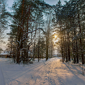 Зима в деревне. | Фотограф Геннадий Ignashevich | foto.by фото.бай
