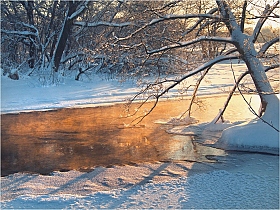 Зимний этюд | Фотограф Виктор Босак | foto.by фото.бай
