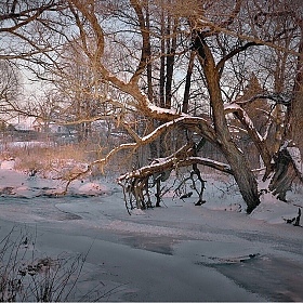 фотограф Диана Буглак-Диковицкая. Фотография "Морозным вечером у реки"