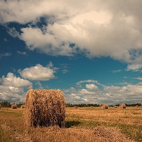 Осень | Фотограф Александр Храмко | foto.by фото.бай