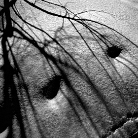фотограф Elenka Donbrova-Artmensk. Фотография "лик зимы"