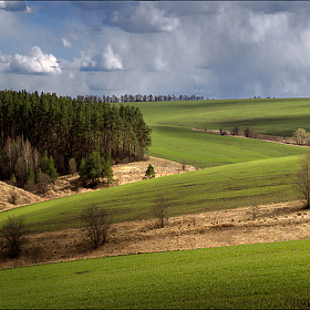 Потеряться в зелени холмов... | Фотограф Алексей Богорянов | foto.by фото.бай