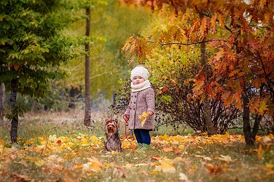 Фотограф Юлия Зубкова, фотография добавлена 24.11.2015