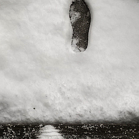 "Чей туфля?" | Фотограф Anton mrSpoke | foto.by фото.бай