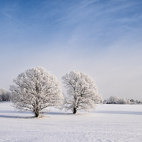 А за городом зима, зима, зима | Фотограф Ольга Максимова | foto.by фото.бай