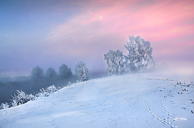 Волшебство зимы | Фотограф Сергей Шабуневич | foto.by фото.бай