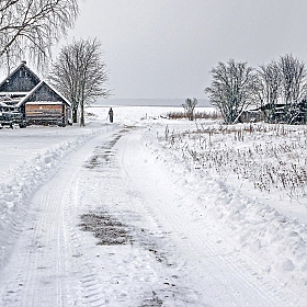Деревня - зимний день... | Фотограф Евгений Илькевич | foto.by фото.бай
