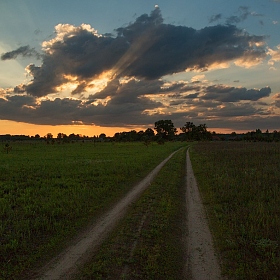 Солнце уходило позвать лето... | Фотограф Александр Удовиченко | foto.by фото.бай
