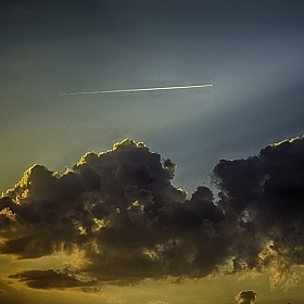 фотограф Алексей Жариков. Фотография "полет на закате"