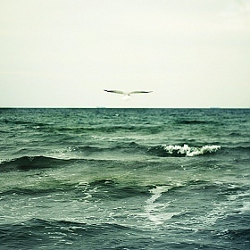 фотограф Мария Сонг. Фотография "осеннее море..."