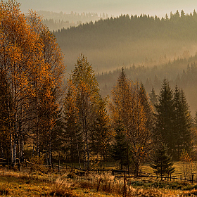 Осеннее настроение... | Фотограф Михаил Глаголев | foto.by фото.бай