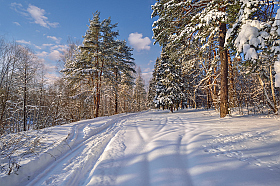 зимняя дорожка | Фотограф Виталий Полуэктов | foto.by фото.бай