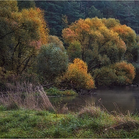 Река и осень | Фотограф Сергей Шабуневич | foto.by фото.бай