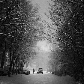 Снегопад | Фотограф Лариса Пашкевич | foto.by фото.бай