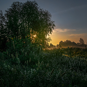 фотограф Александр Шатохин. Фотография "Свежесть летнего утра"