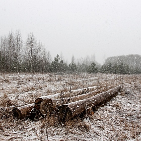 фотограф Глеб Латышевич. Фотография "Падал снег"