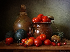 Спелые помидоры | Фотограф Татьяна Карачкова | foto.by фото.бай