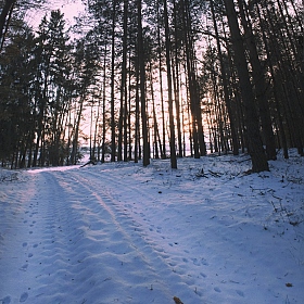 Зима - это здорово! | Фотограф dydik_98 | foto.by фото.бай