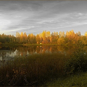 фотограф Диана Буглак-Диковицкая. Фотография "Осенним вечером у пруда"