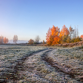 Поздняя осень | Фотограф Сергей Шабуневич | foto.by фото.бай