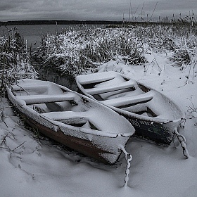 Первый снег | Фотограф Сергей Михайлов | foto.by фото.бай