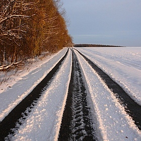 фотограф Сергей Тарасюк. Фотография "зимняя дорога"