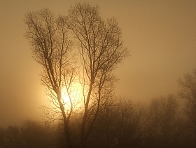 Про туман | Фотограф Виктор Позняков | foto.by фото.бай