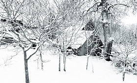 снег в деревне | Фотограф василий раковец | foto.by фото.бай