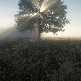 Восход | Фотограф Павел Нагин | foto.by фото.бай