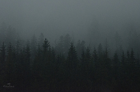 ливень в горах | Фотограф Ирина Королева | foto.by фото.бай