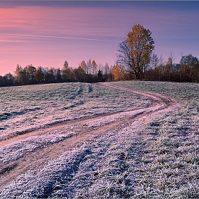 Первые заморозки... | Фотограф Andrew Kuzmin | foto.by фото.бай
