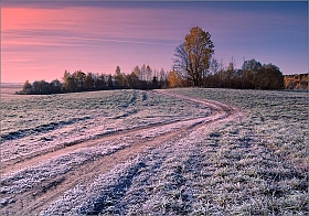 Первые заморозки... | Фотограф Andrew Kuzmin | foto.by фото.бай