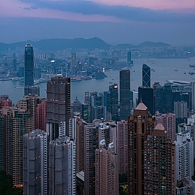 фотограф Volha Ahranovich. Фотография "джунгли Гонконга"